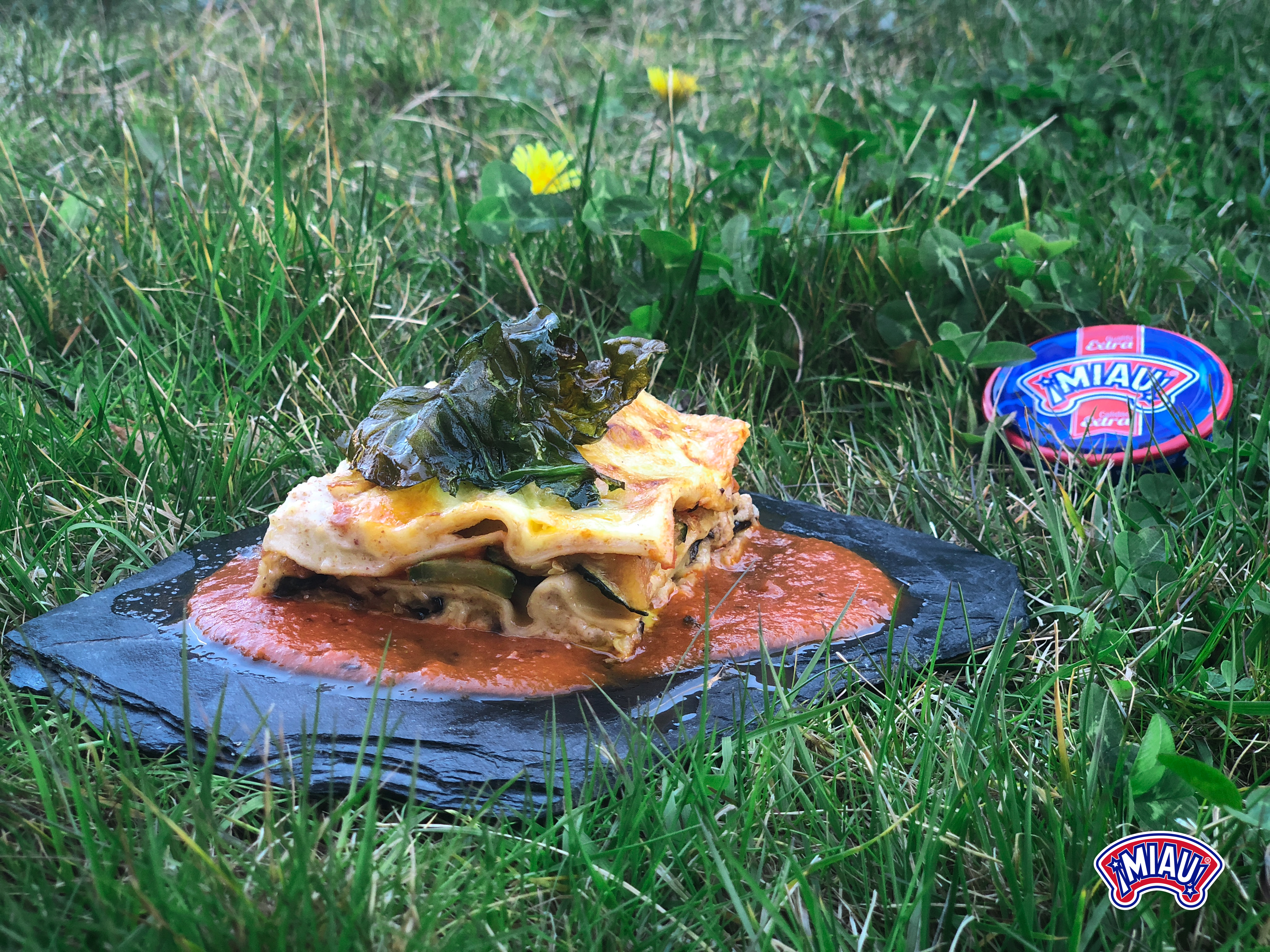 Lasagne aux légumes